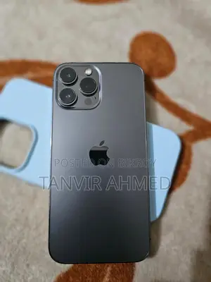 Apple iPhone 13 Pro Max (Used)