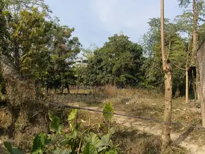Land Sale