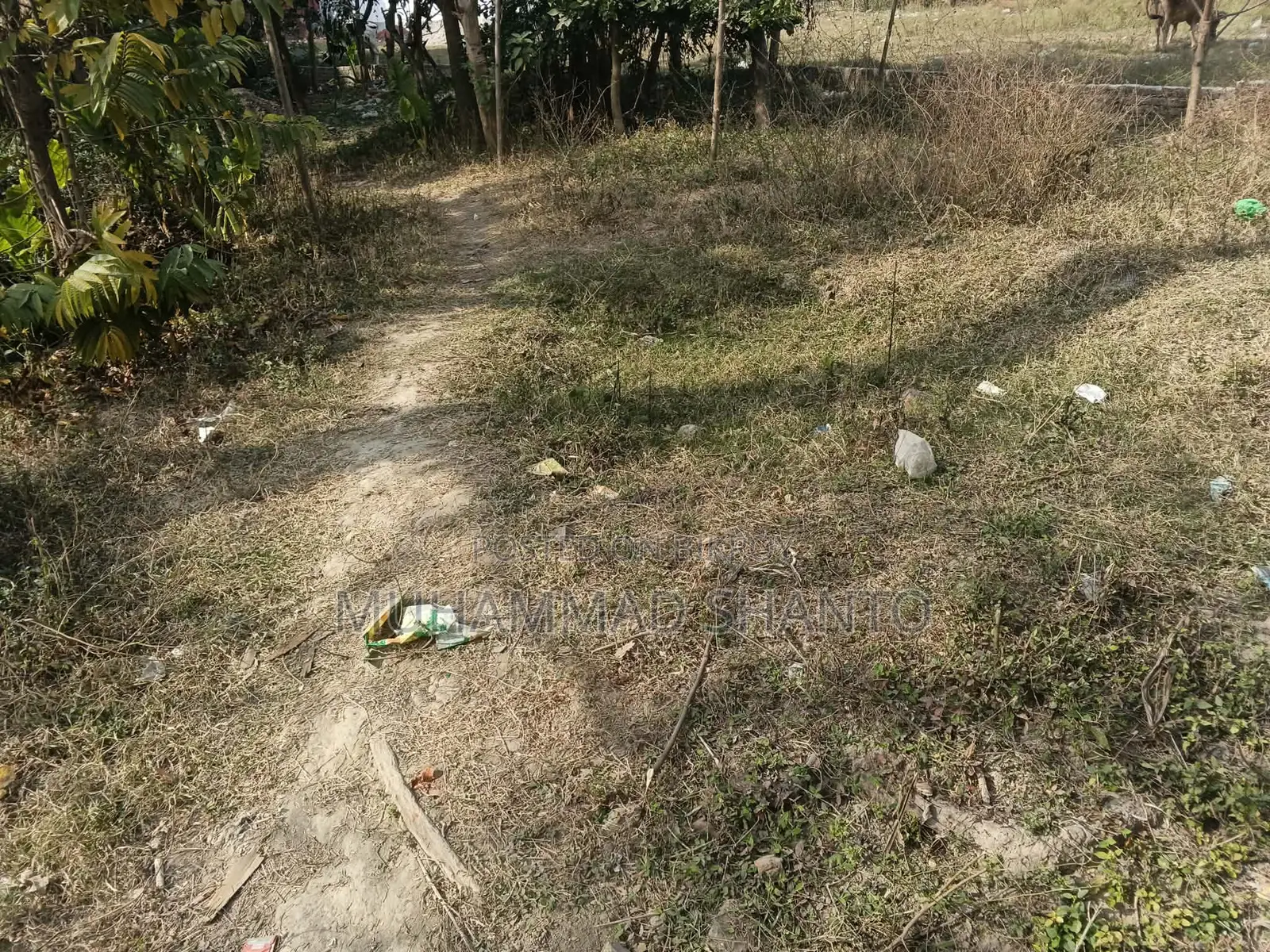 Land Sale