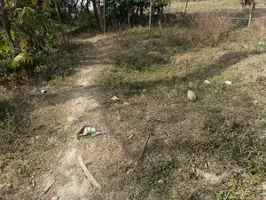 Land Sale