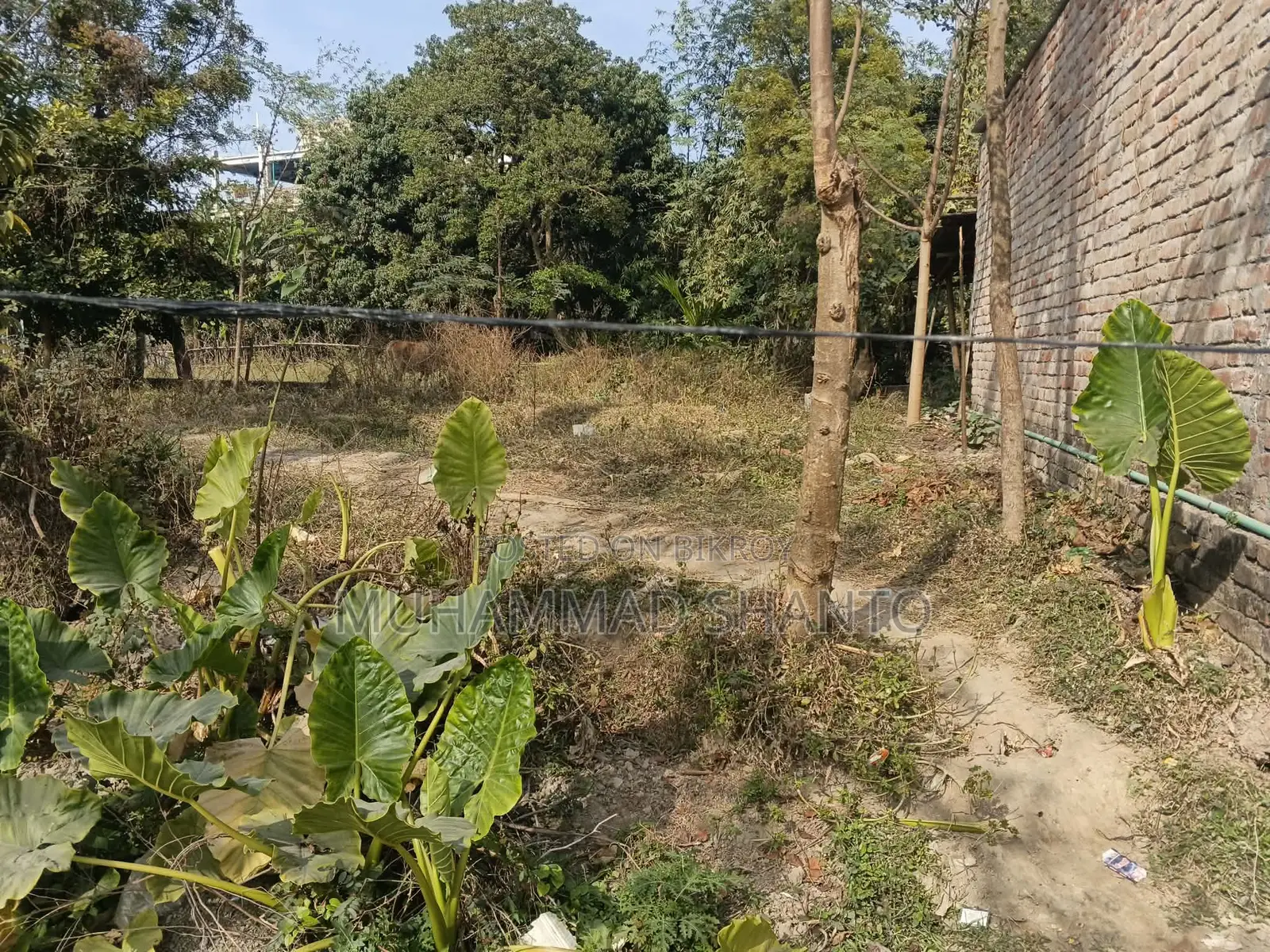 Land Sale
