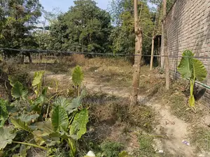 Land Sale