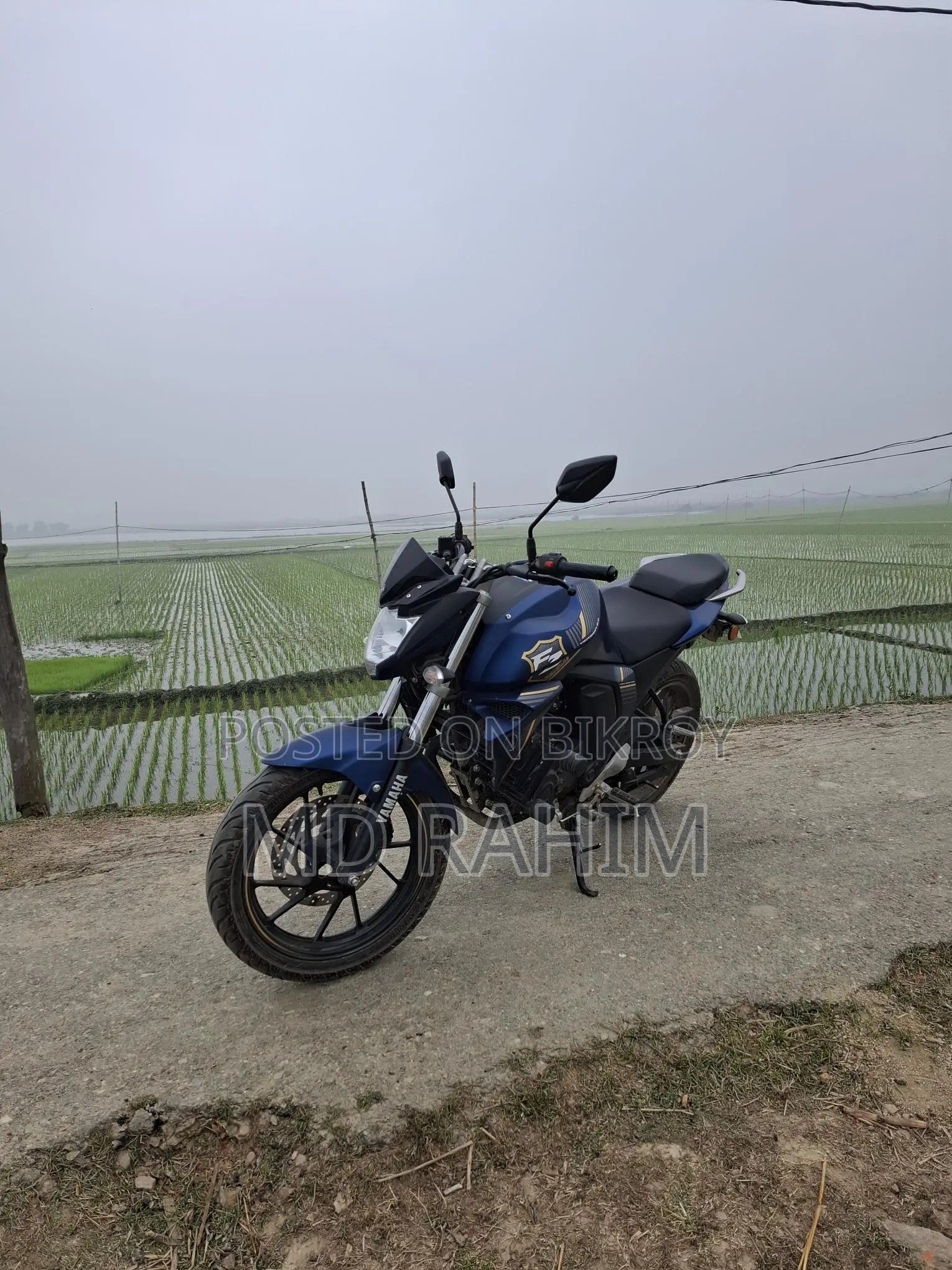 Yamaha FZs V2 2024