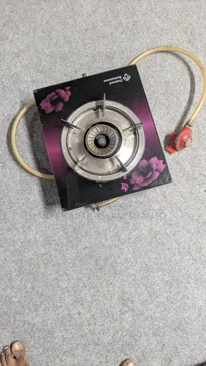গ্যাসের চুলা