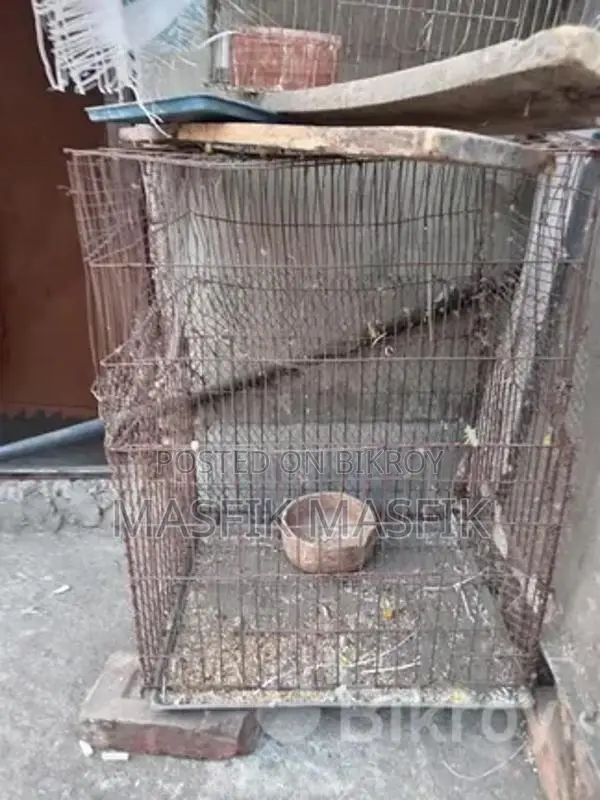 Cage for sale