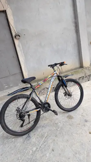 Gear, brake, and suspension all okay