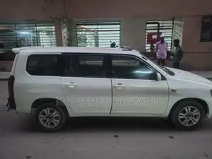Toyota Probox . 2004