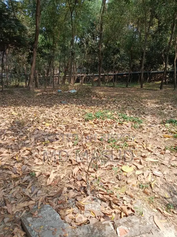 Residential Land 3.55 Katha