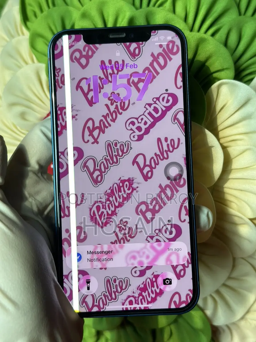Apple iPhone 12 (Used)