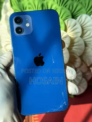 Apple iPhone 12 (Used)