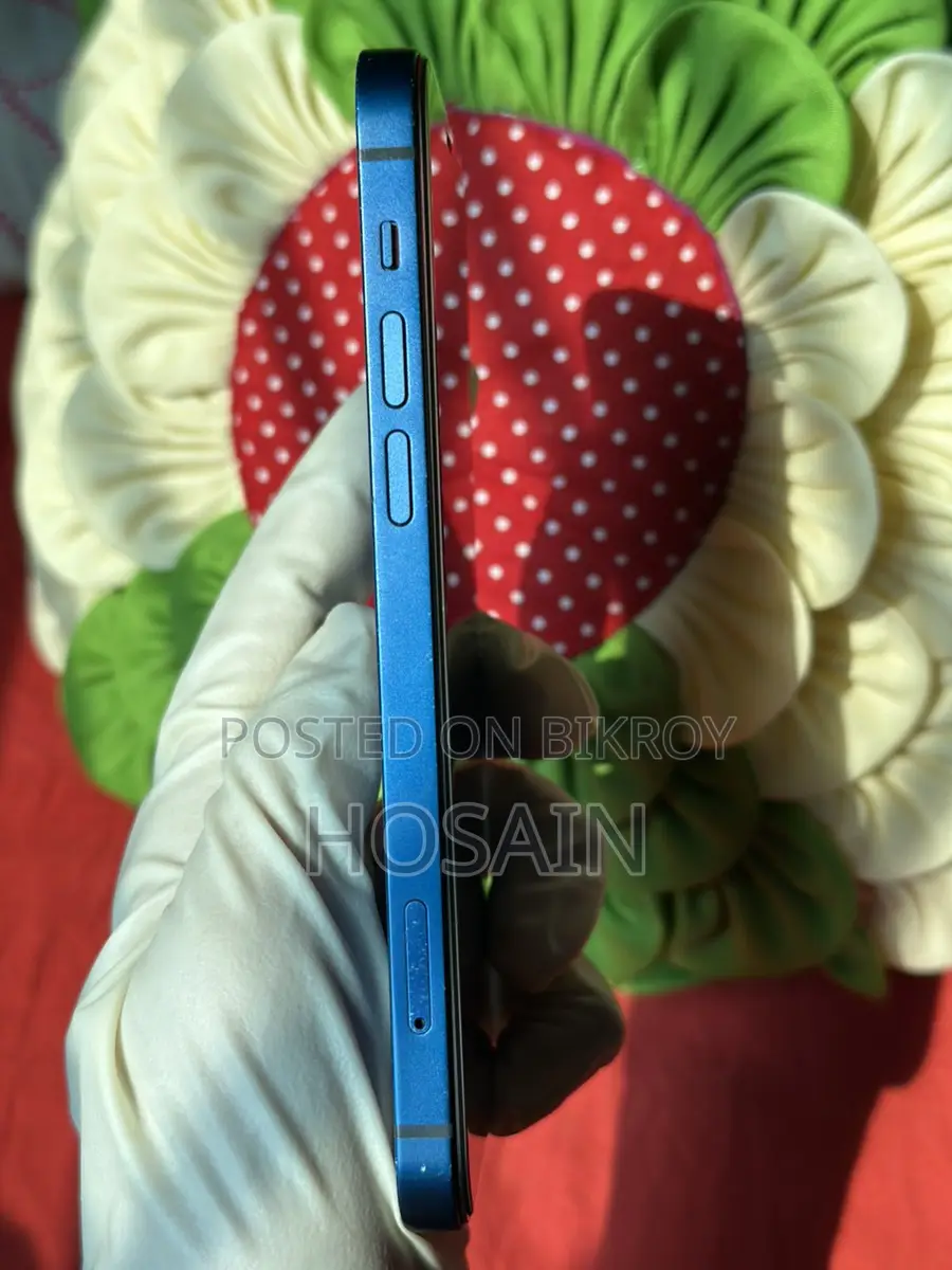 Apple iPhone 12 (Used)