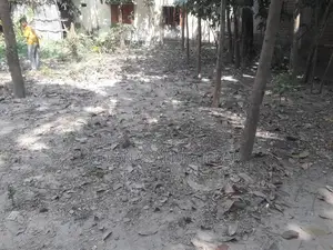 ৪ শতক জমি ১০ ফুট রাস্তা