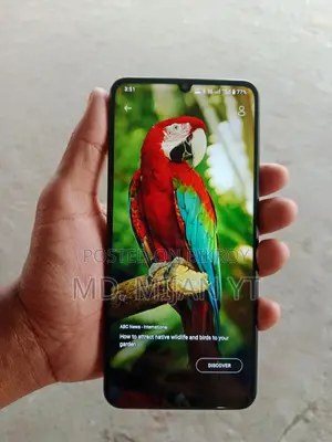 Realme C53 (Used)