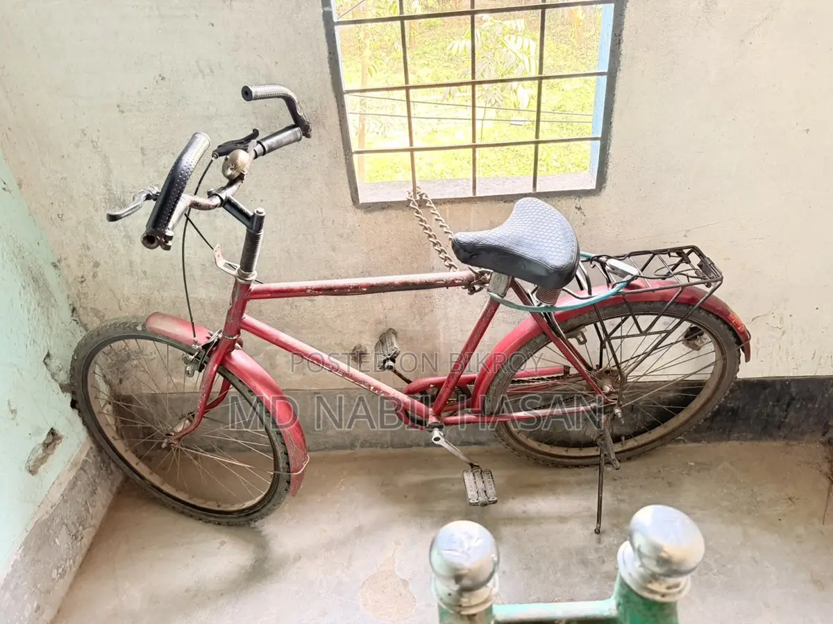 Neelam - Old but Sturdy Bicycle