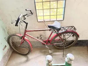 Neelam - Old but Sturdy Bicycle