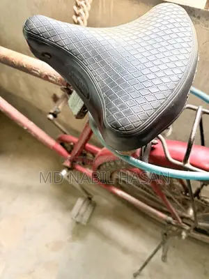 Neelam - Old but Sturdy Bicycle