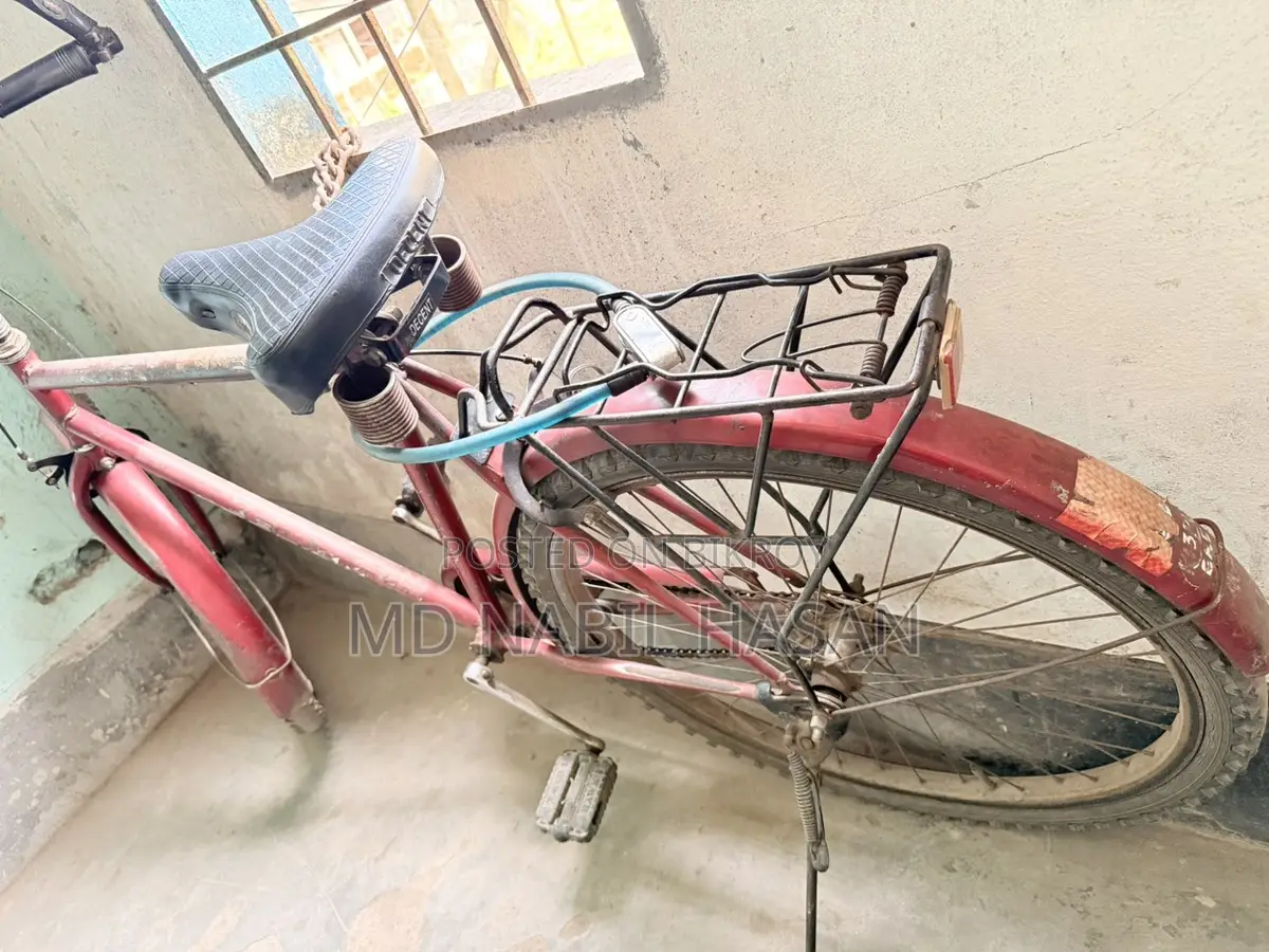 Neelam - Old but Sturdy Bicycle