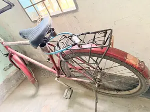 Neelam - Old but Sturdy Bicycle