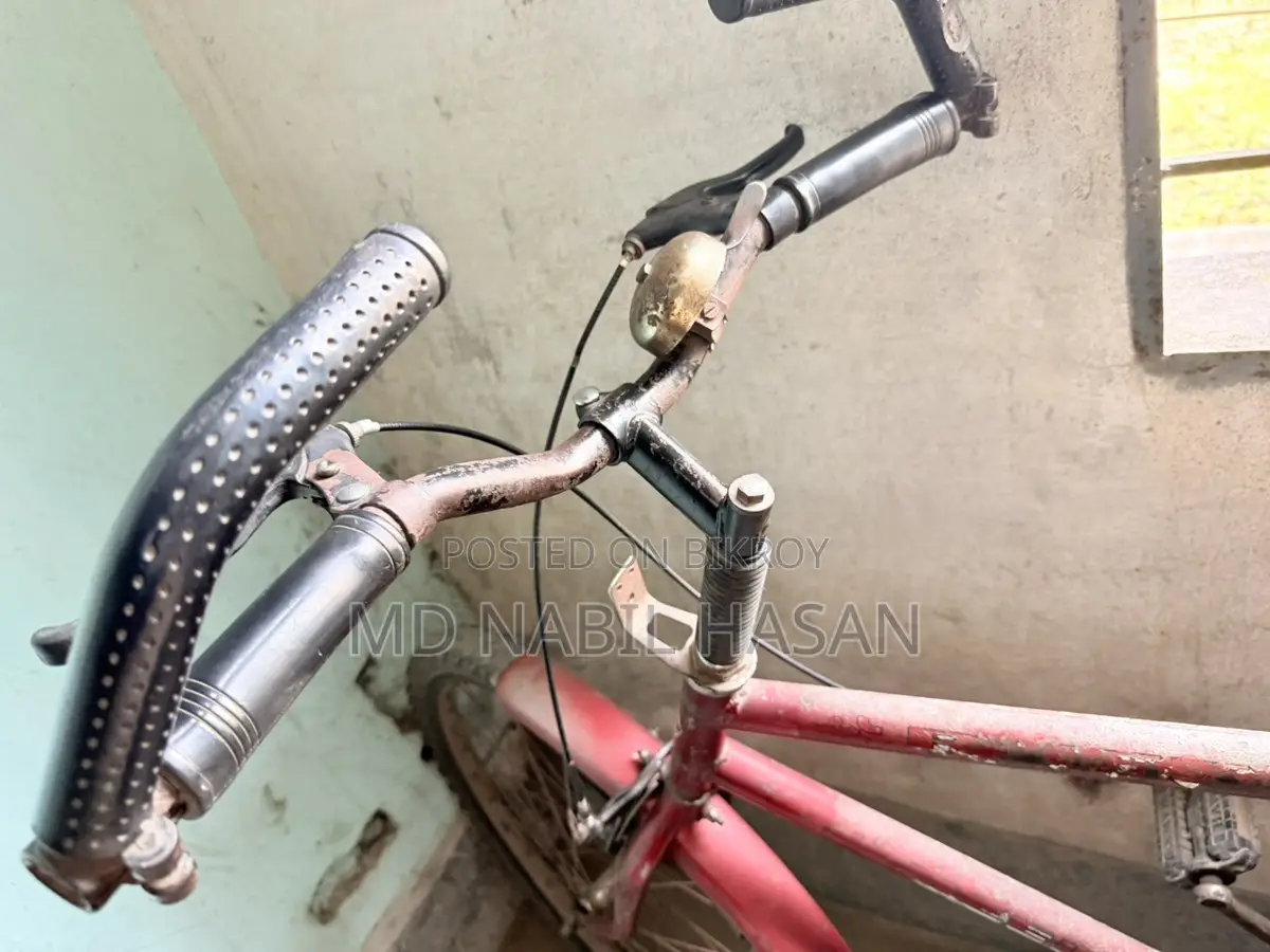 Neelam - Old but Sturdy Bicycle