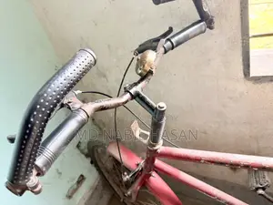 Neelam - Old but Sturdy Bicycle