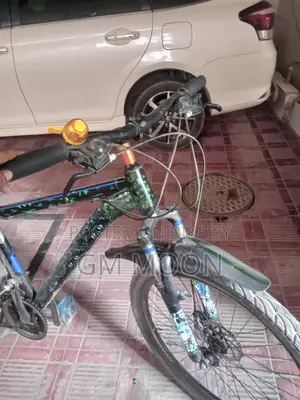 Ghost Bicycle for Sale