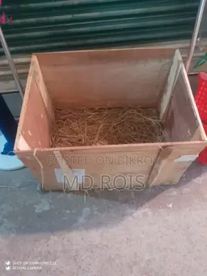 Box for Sale