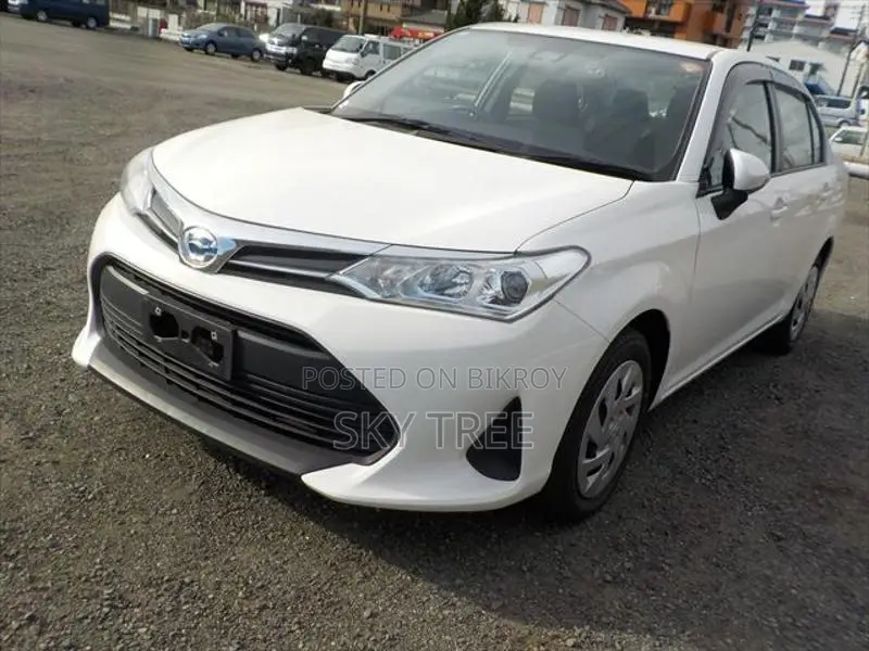 Toyota Axio EX Package 2021