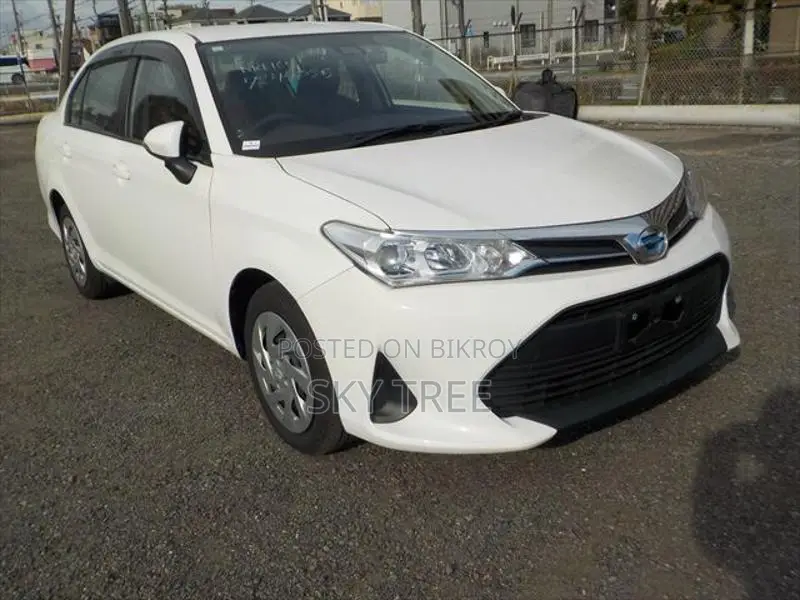 Toyota Axio EX Package 2021