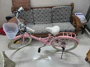 Foldable Cycle For Females Korean