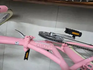 Foldable Cycle For Females Korean