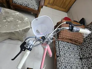 Foldable Cycle For Females Korean