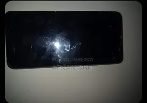 Vivo S1 (Used)