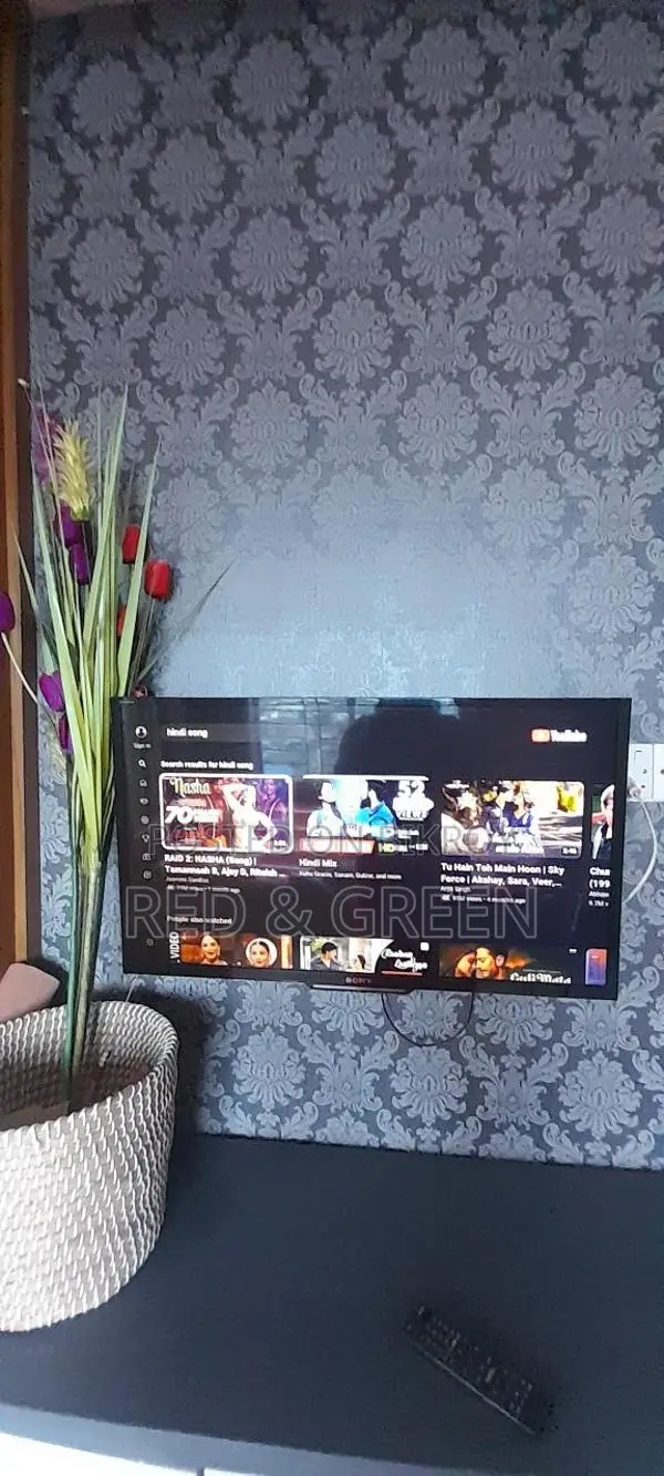 Sony Bravia TV