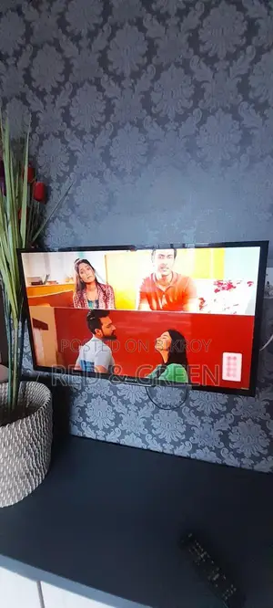 Sony Bravia TV
