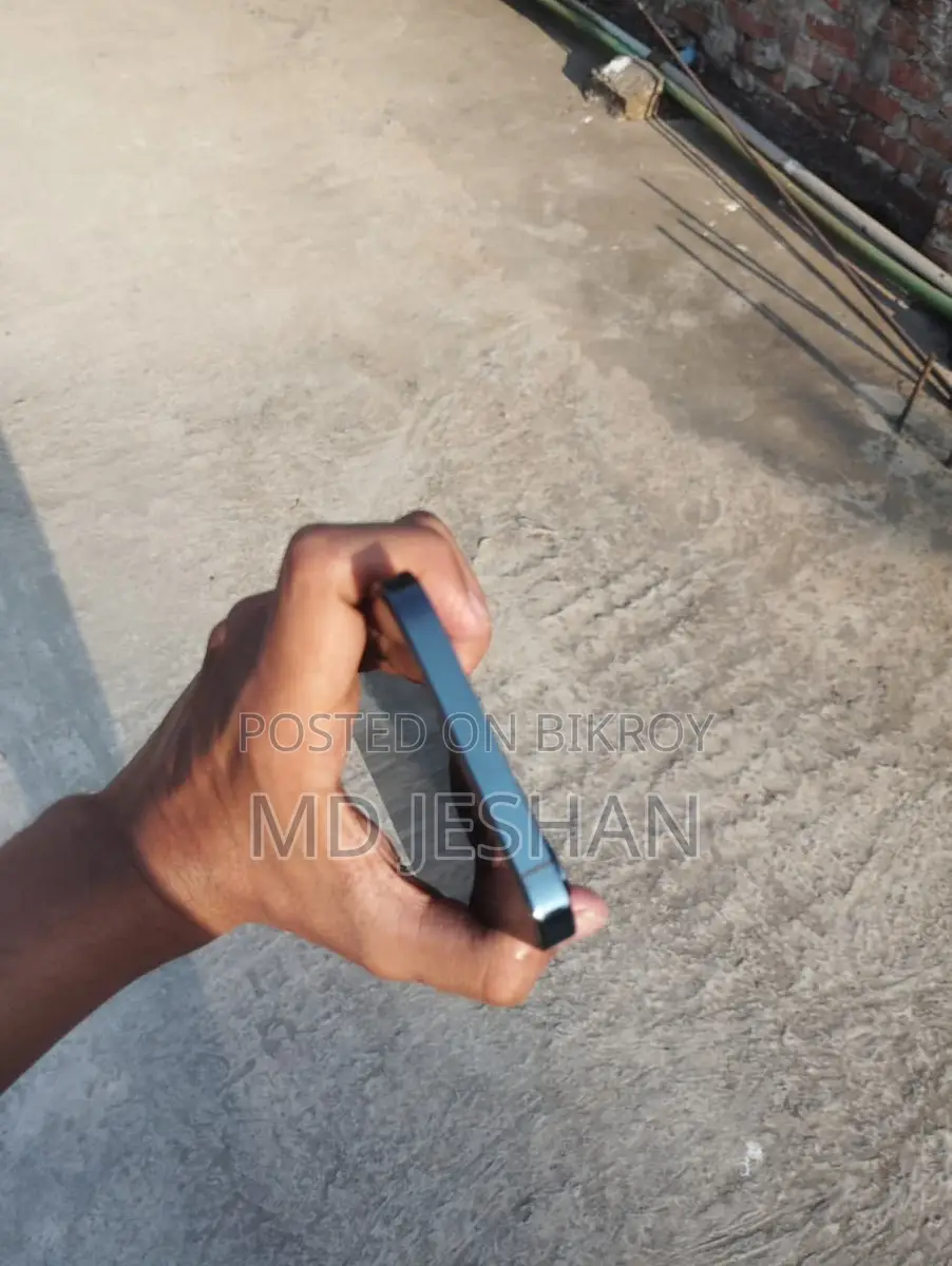 Apple iPhone 12 Pro Max (ব্যবহৃত)