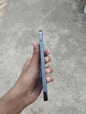 Apple iPhone 12 Pro Max (ব্যবহৃত)