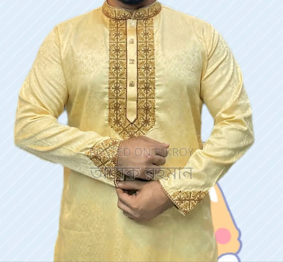 Gorgeous Party Panjabi