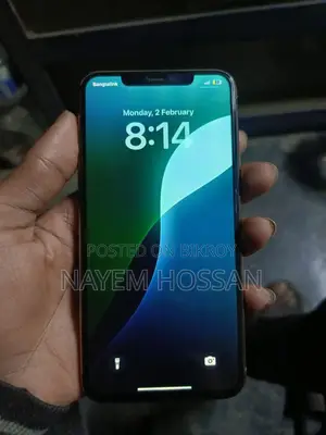 Apple iPhone 11 Pro Max (Used)