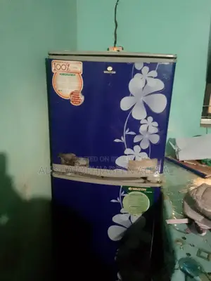 Walton Fridge for Sale