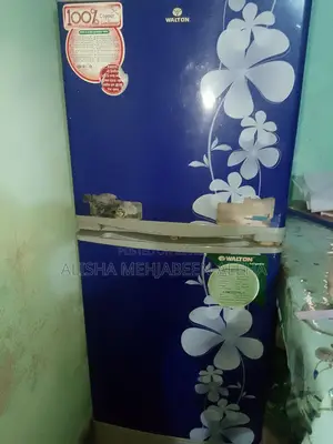 Walton Fridge for Sale