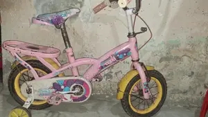 Bicycle for Sale