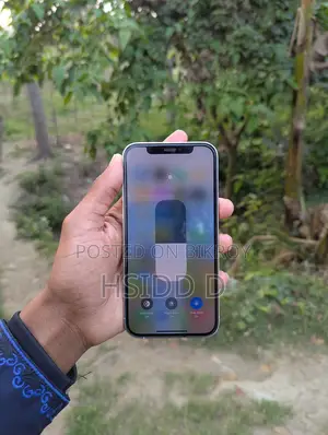 Apple iPhone 12 Pro 128 GB (Used)