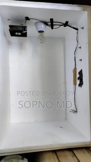 ককশিটের ইনকিউবেটর