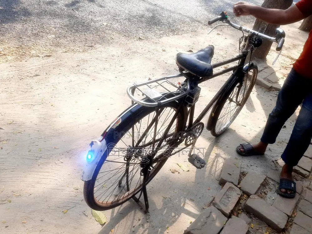 Phoenix Bicycle for Sale