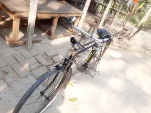 Phoenix Bicycle for Sale