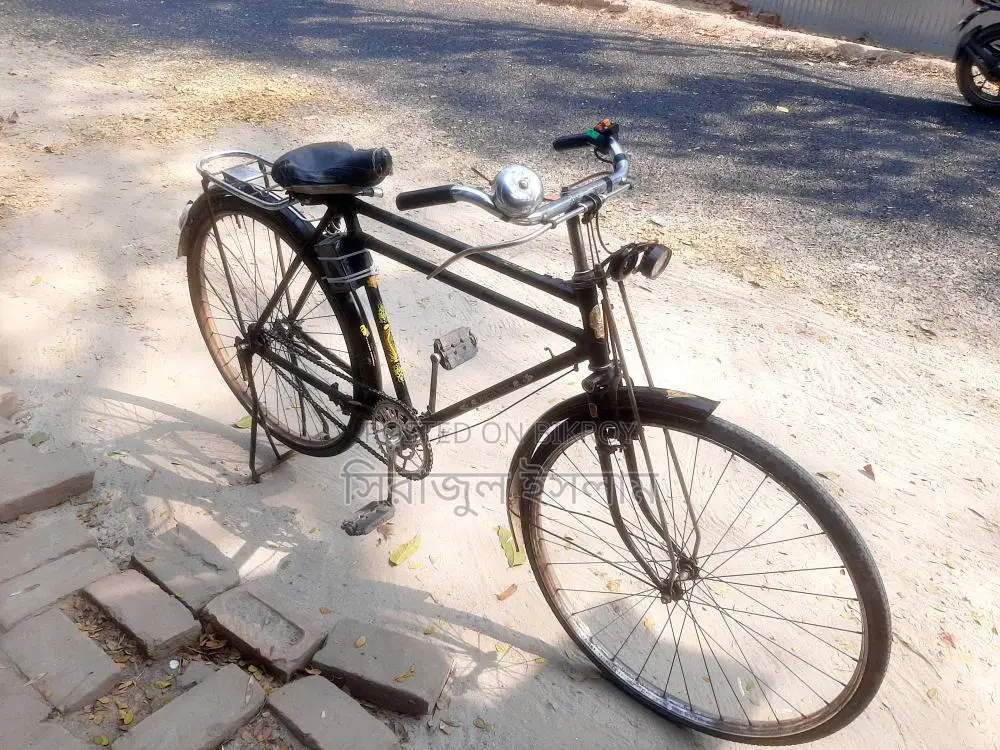 Phoenix Bicycle for Sale