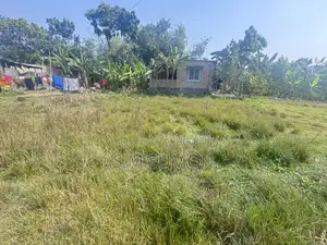 বায়াতে সরকারি ১৮' রাস্তার সাথে দুই পাসে রাস্তাসহ এখনই বাড়ি করার প্লট