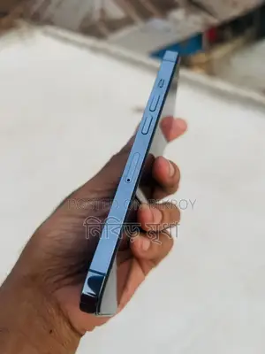 Apple iPhone 13 Pro (ব্যবহৃত)