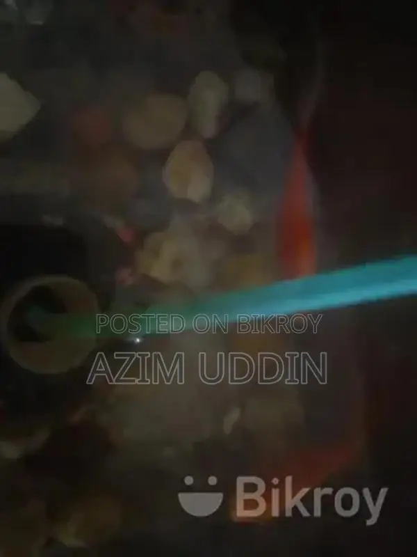 Aquarium Fish