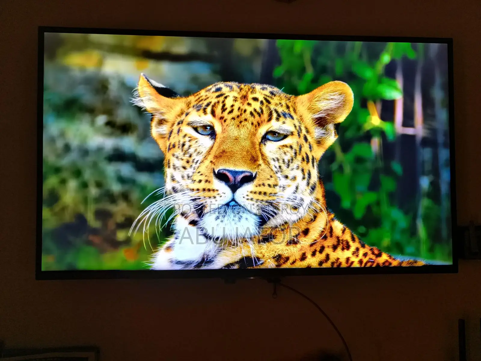 Sony Bravia 43-inch 4K TV